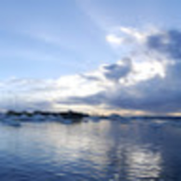 Meet your Posher, Derrick - Picture 1 of 1